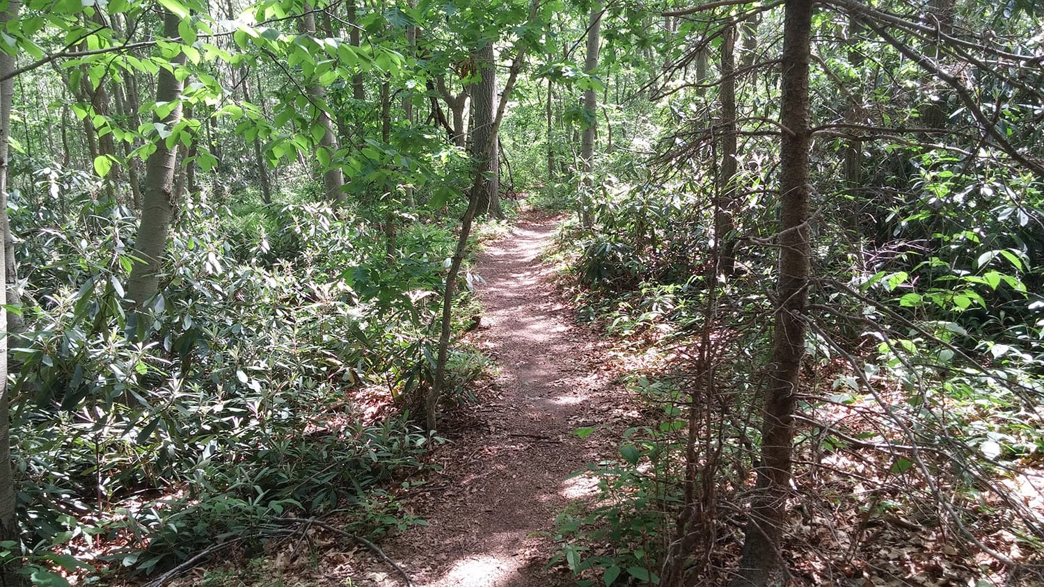 Walt Whitman Trail